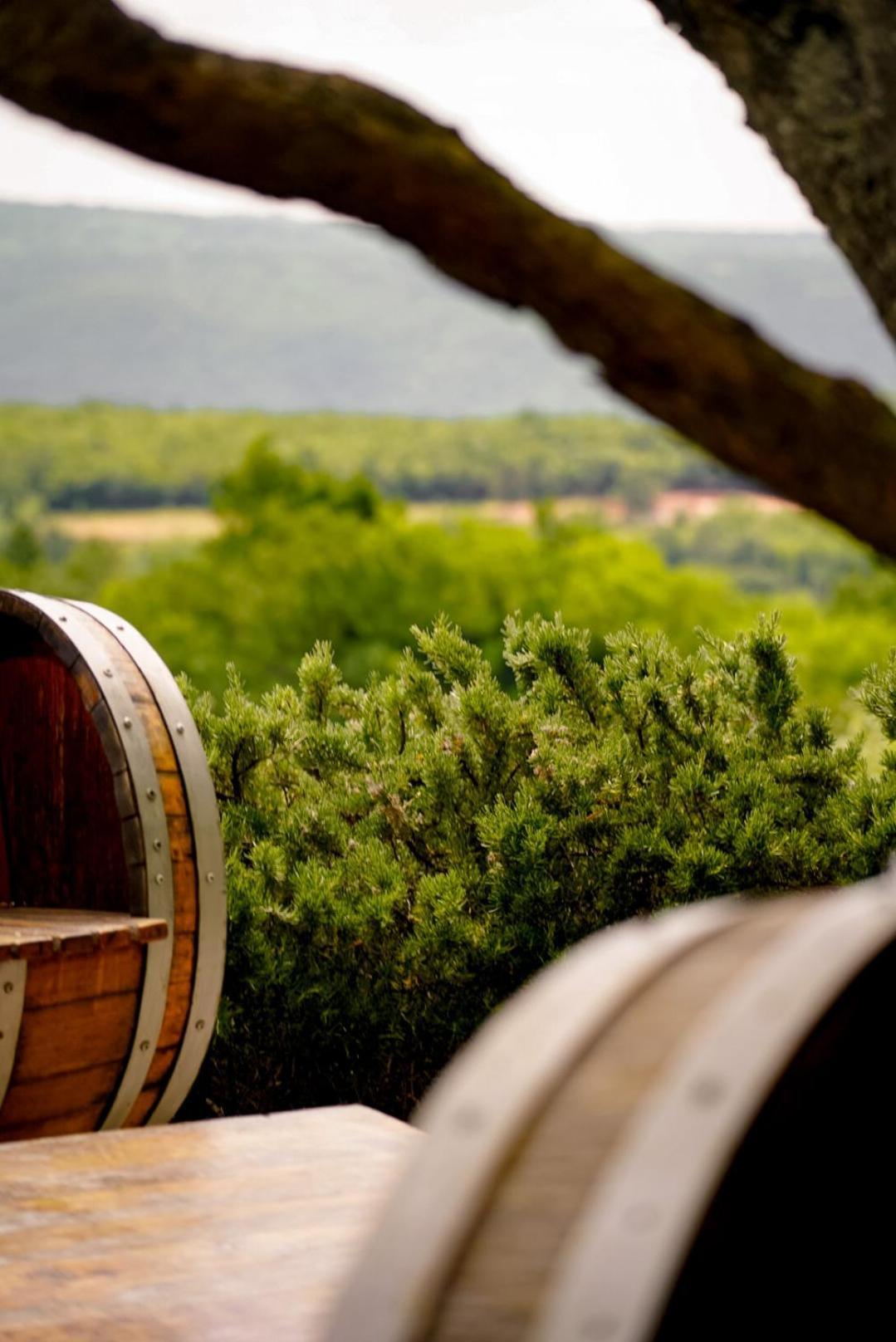 Wine Residence Cattunar 브르토니글라 외부 사진